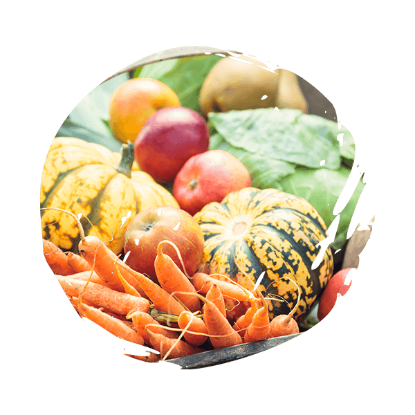 basket filled with fresh vegetables