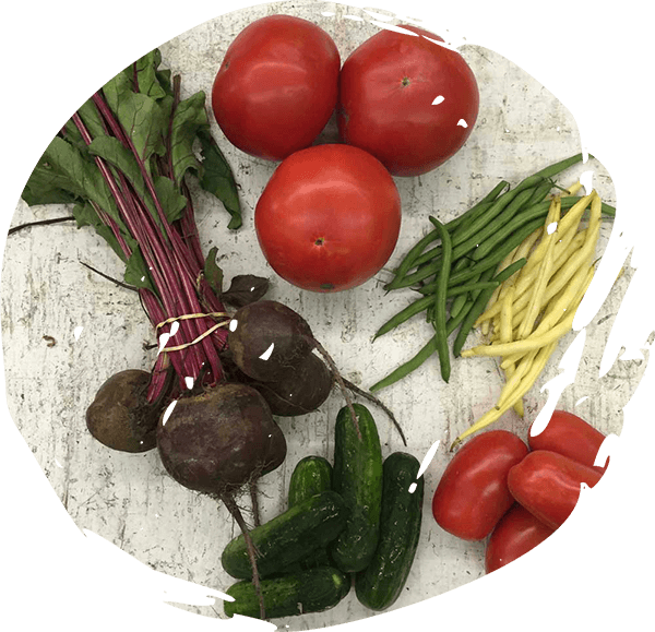 freshly picked vegetables