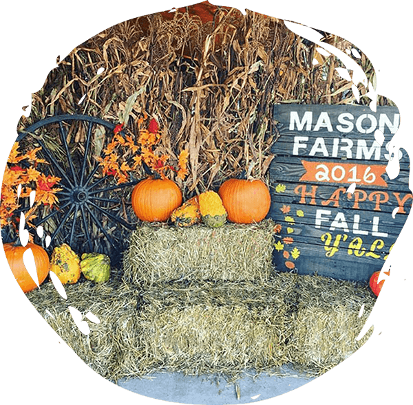 mason farms 2016 happy fall