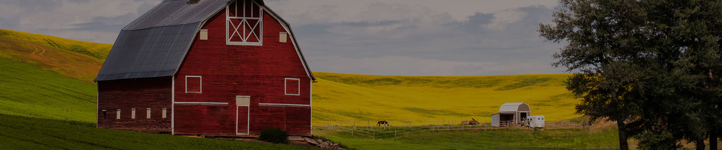 Mason Farms photo 2