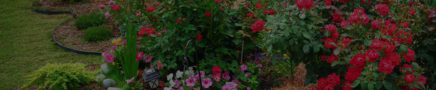 Mason Farms photo 8