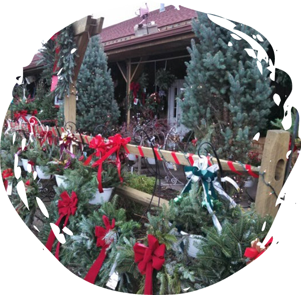 Christmas shop at the farms