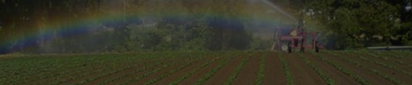 Mason Farms photo 20